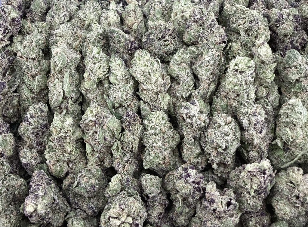 S05 LA KUSH Smalls