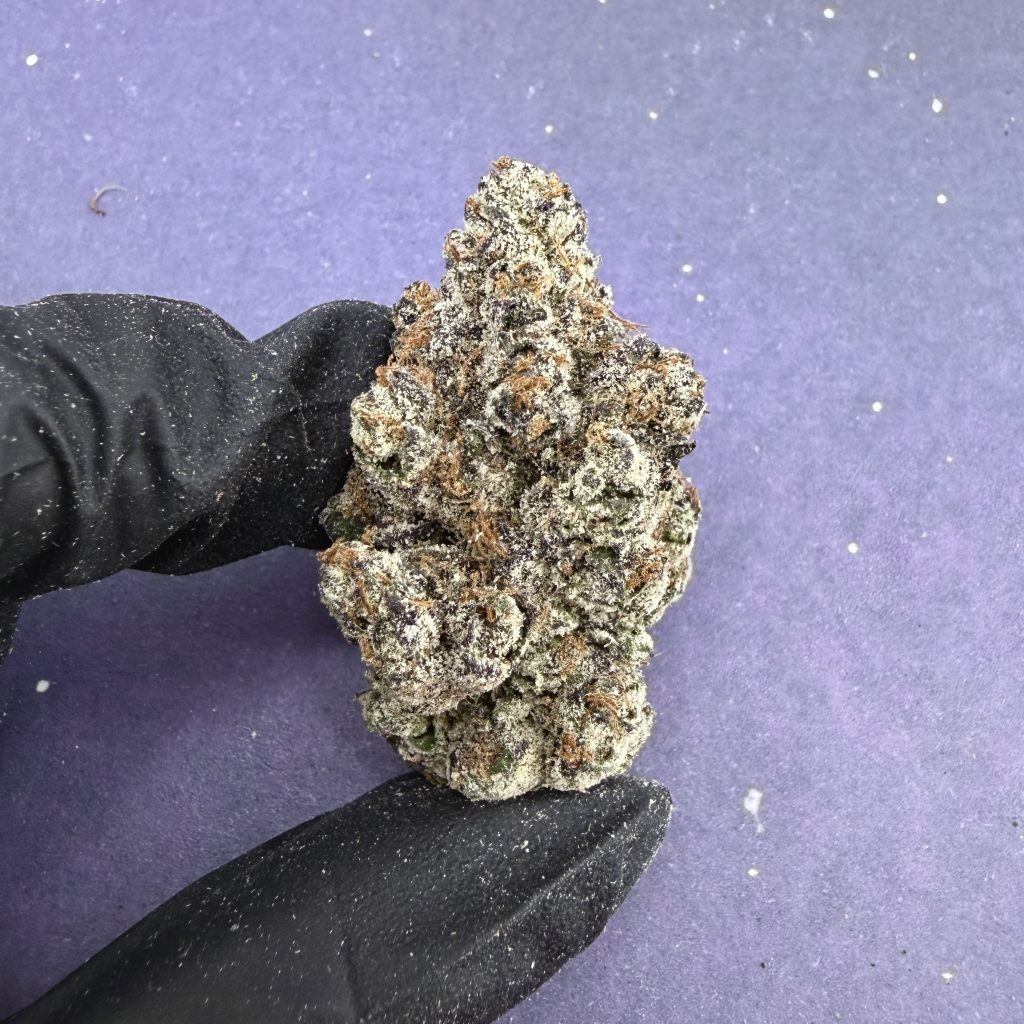 B80 Candy Gelato 33
